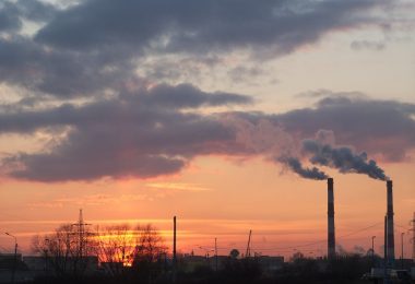 Segueix la lluita de Greta Thumberg pel canvi climàtic