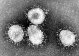 Coronavirus: informació actualitzada